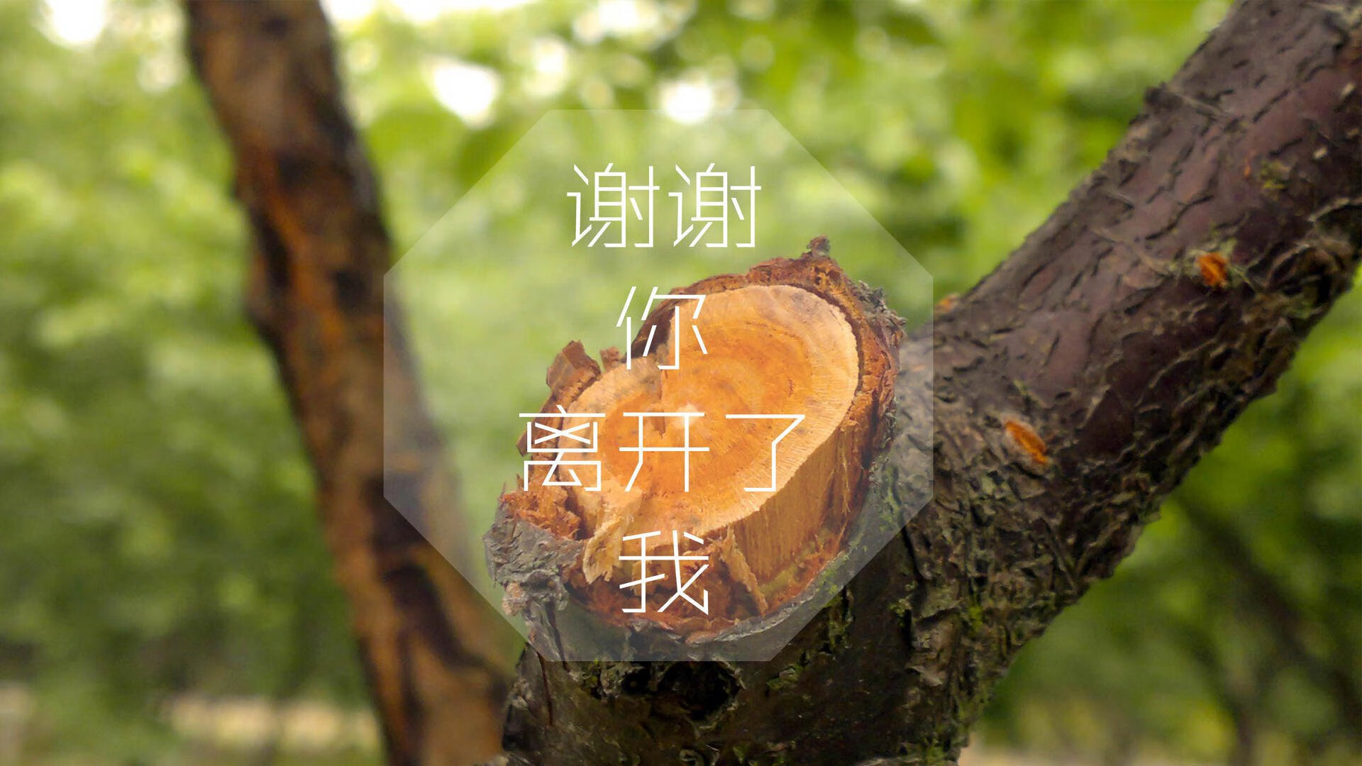 意甲尘埃落定：尤文在补时2-1险胜拉齐奥，榜首之争持续升温，尤文提前2轮意甲夺冠
