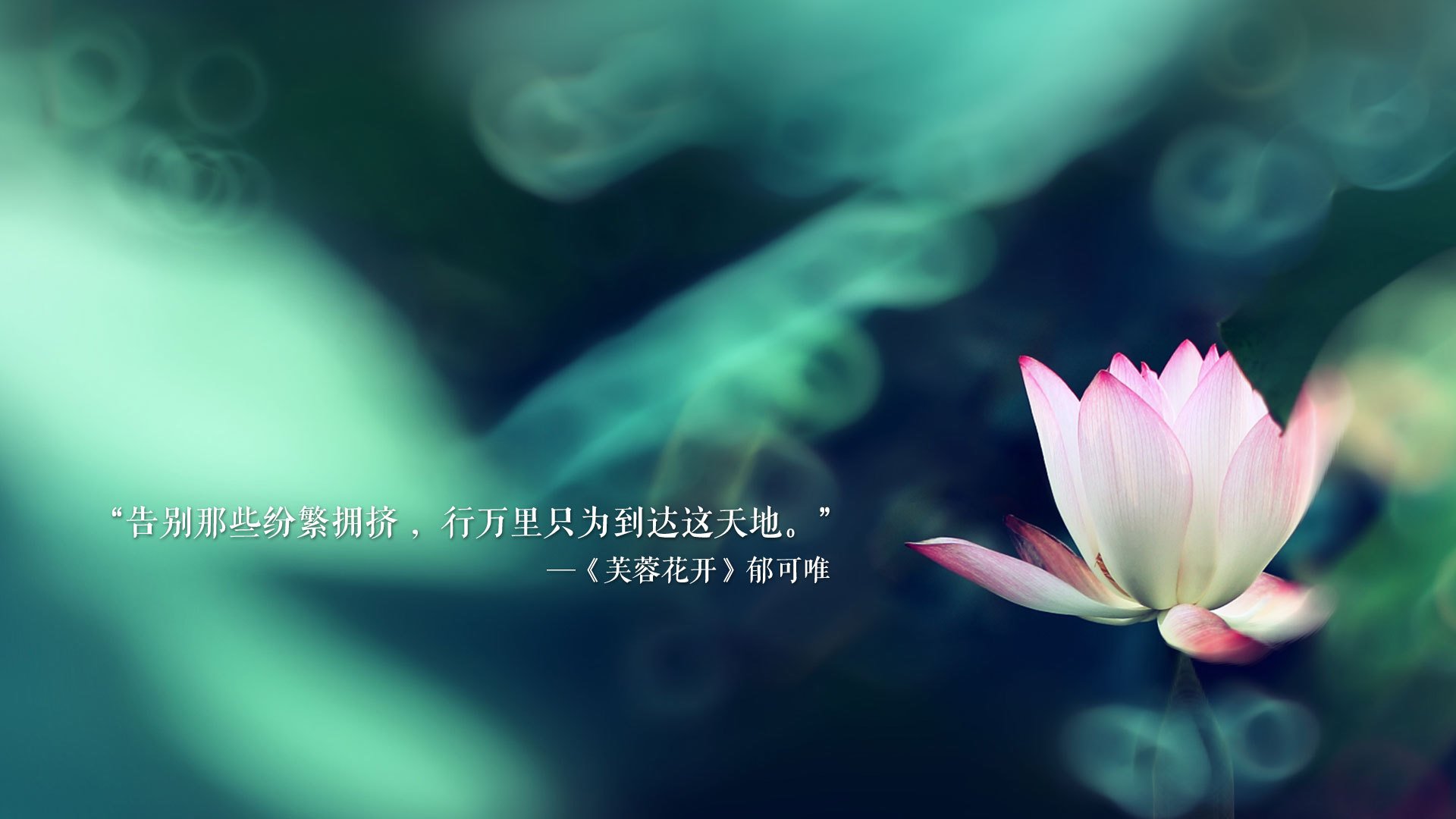 比利时马术协会与科技公司合作，开发虚拟现实训练平台，提升骑手技能。