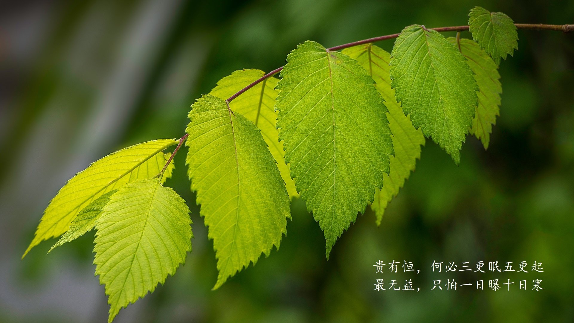 迈阿密国际计划举办国内足球训练营，促进交流，国际迈阿密主教练