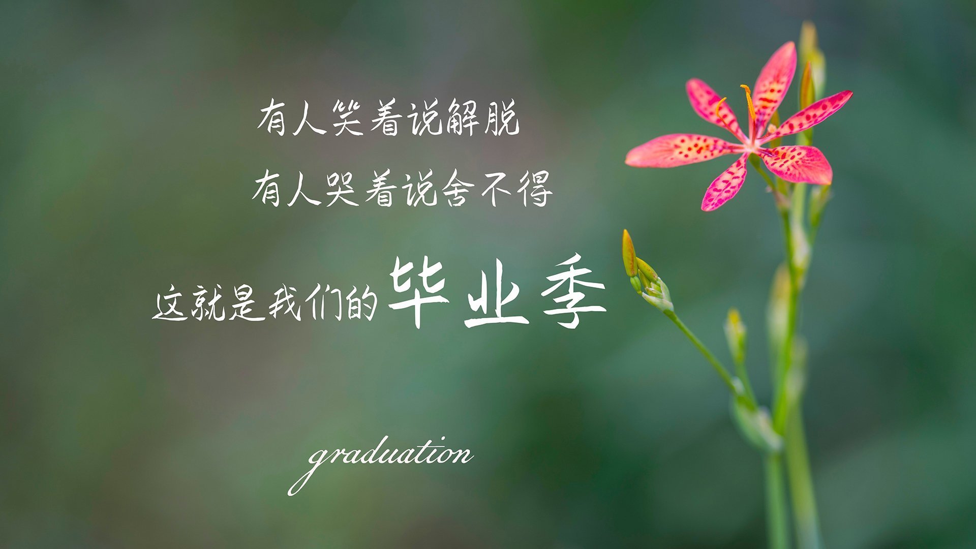 高校体育师资队伍建设与专业发展研究，高校体育师资队伍建设与专业发展研究论文