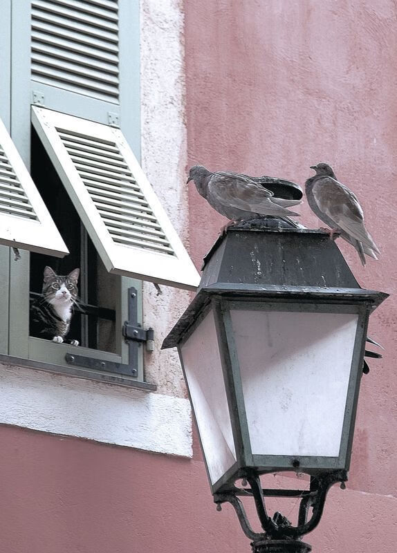 拜仁边路进攻体系将被更多对手模仿,拜仁左边路