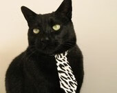 “帕布罗·马特拉：阿根廷美洲狮队的铁血战士，未来更加耀眼”