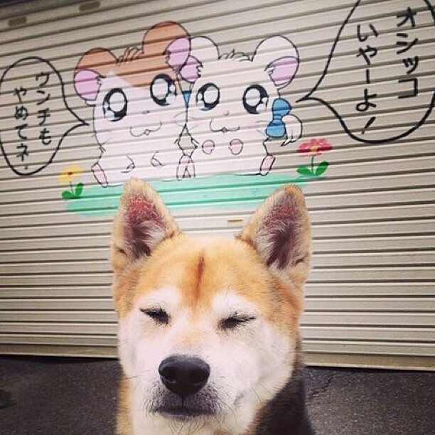 体育新闻中心联动校园体育,校园体育文化节新闻稿600字