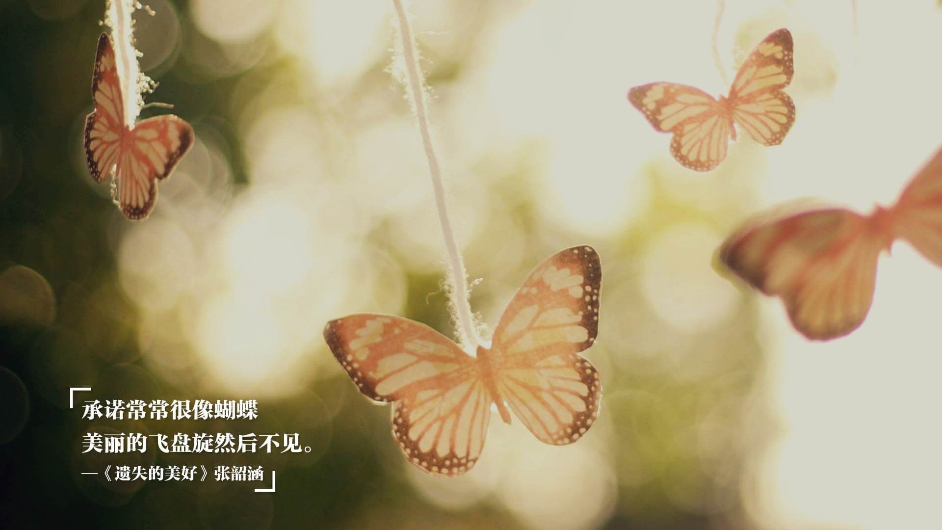 国际青少年邀请赛引来多国球探，潜力股受关注，青少年国际竞赛与交流中心