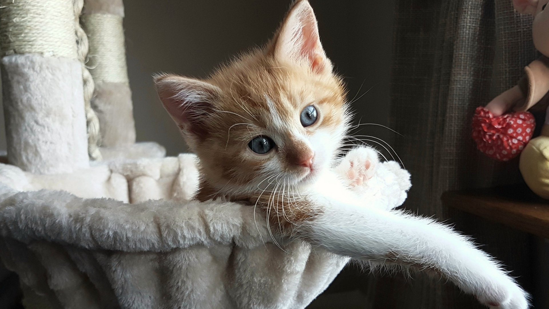 恩多比·恩乔:在比赛中用精湛的脚法和战术能力帮助南非队扩大战果