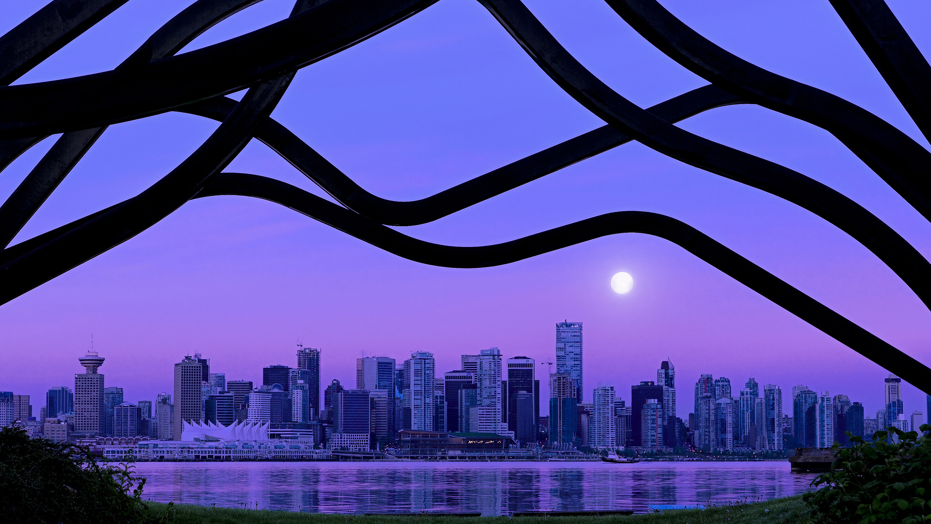 自由泳接力朝鲜团队默契十足，自由泳韩国教学视频