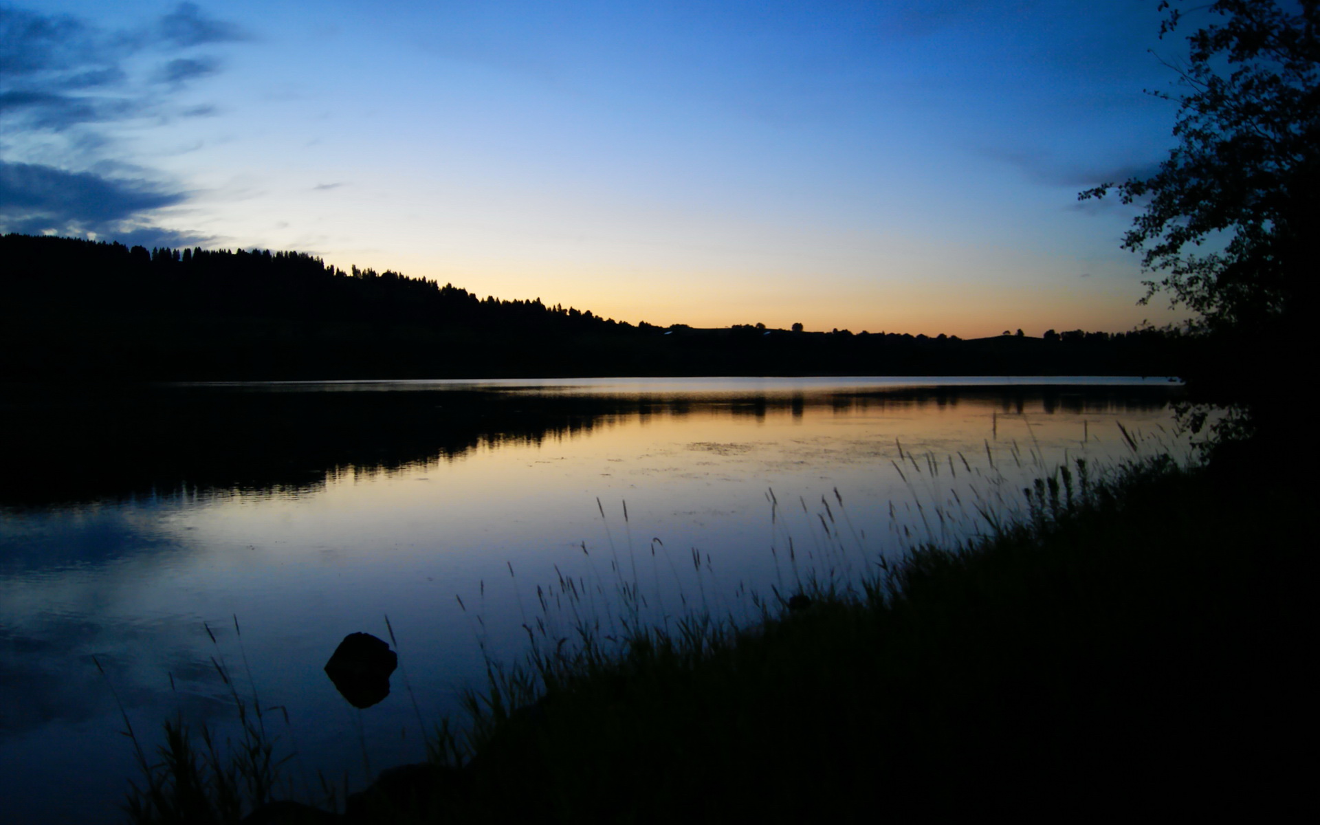自由泳接力朝鲜团队默契十足，自由泳韩国教学视频